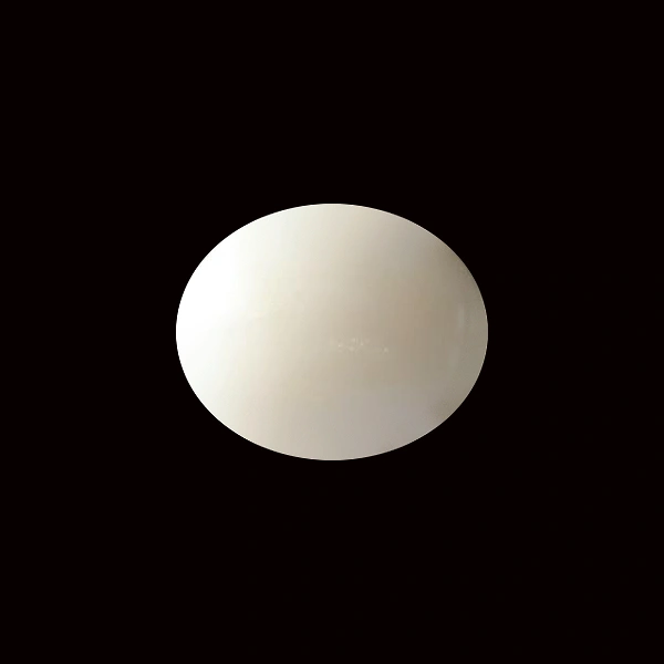 White Coral - 5.50 carats